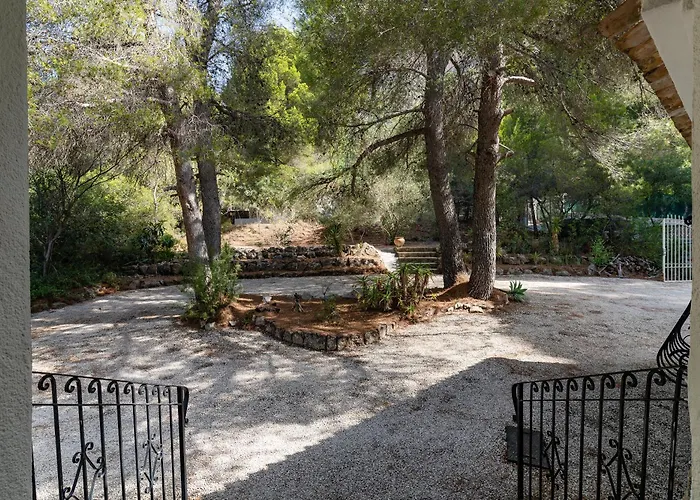 Rosa Javea