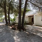 Rosa Villa Jávea